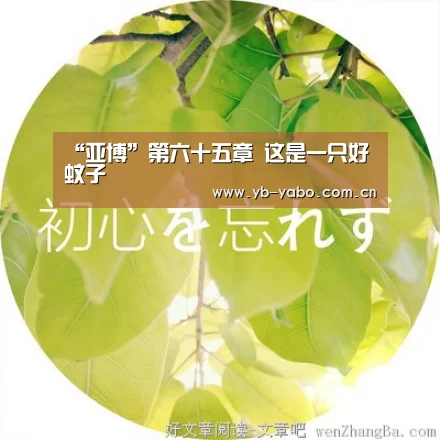 “亚博”第六十五章 这是一只好蚊子(图1) 亚博平台