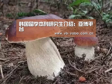 韩国留学本科研究生介绍:亚博平台(图1) 亚博娱乐
