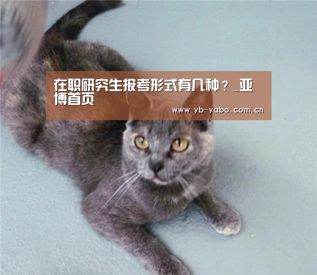 在职研究生报考形式有几种?_亚博首页(图4) 亚博娱乐