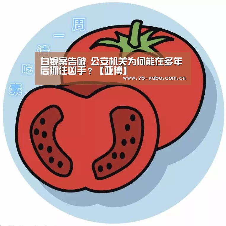 白银案告破 公安机关为何能在多年后抓住凶手?【亚博】(图1) 亚博首页